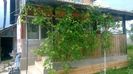 WP_20140524_034