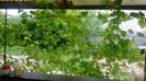 WP_20140524_036