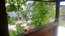 WP_20140524_037