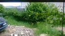 WP_20140524_038