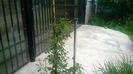 WP_20140524_043
