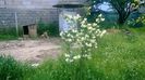 WP_20140524_047
