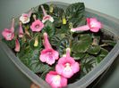 DSC08879