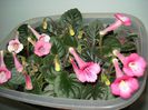 DSC08880