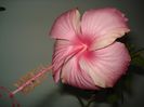 DSC08899