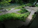 DSCN9477
