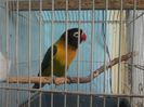 20140407_152650