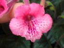 DSC08928