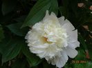 DSC03820