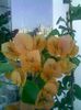 Pic_0803_154