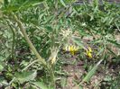 20140525_135534