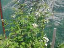 20140525_135603
