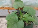 20140525_140341