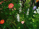 DSC00547