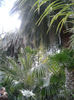 20140502_150007