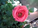 20140526_103418