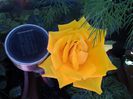 20140526_103413