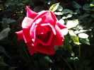 20140526_103149