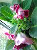 20140526_103023