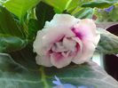 20140526_103005