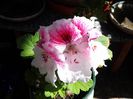 20140526_103440