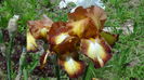 DSC01205
