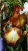 DSC01271