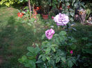IMGP6533