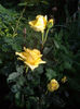 IMGP6546