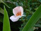 DSCN7596
