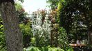 la tara 24 mai 2014 088