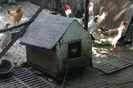 Изображение 445