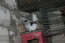 Изображение 461