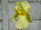 7a