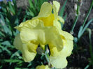 7b