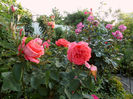 SAM_6314