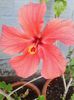 IMG_20140526_180710