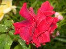 DSCN0494