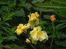 DSCN0530