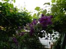 DSCN0534
