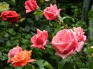 DSCN0539