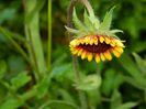 DSCN0566