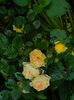 DSCN0574