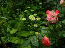 DSCN0576