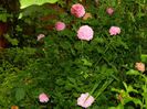 DSCN0580