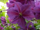 DSCN0638