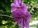 DSCN0639