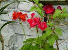 DSCN0662