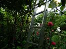 DSCN0640