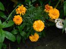 DSCN0704